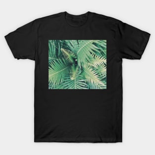 Fern T-Shirt